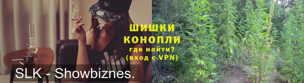 прущие грибы Кукмор