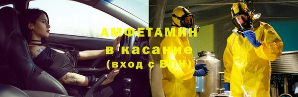 PSILOCYBIN Вяземский