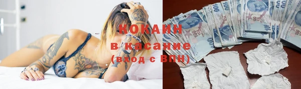гашик Вязьма
