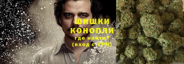 бошки Ладушкин