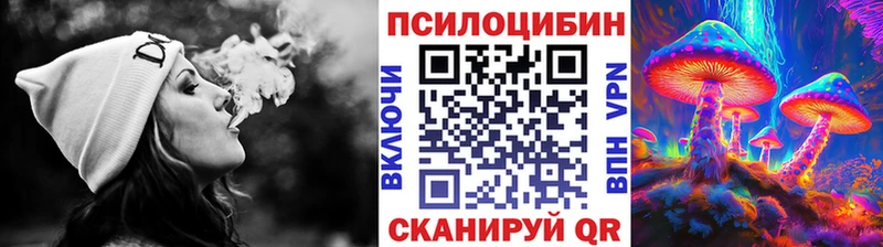 купить закладку  Талица  гидра ССЫЛКА  Галлюциногенные грибы мицелий 